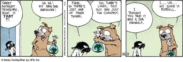getfuzzy